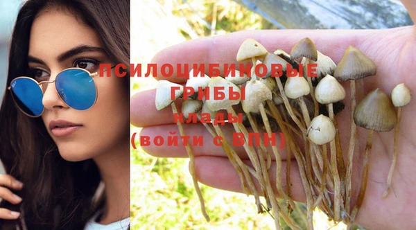 спайс Кукмор