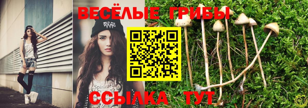 МЕТАМФЕТАМИН  ГАШ  Вход с VPN  МЕФ   А ПВП СК кристаллы  Губкин  Марихуана  Кокаин  MDMA 