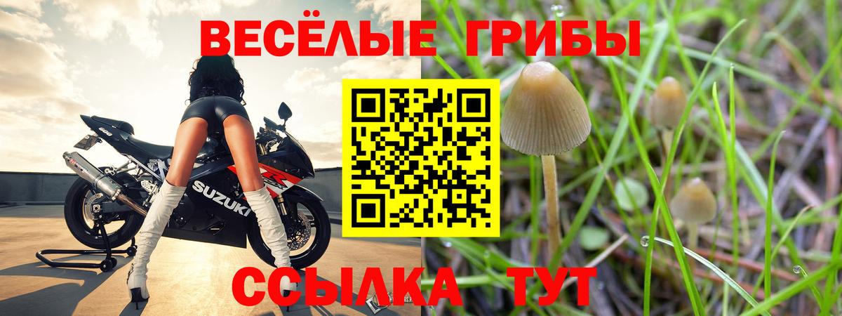 Псилоцибиновые грибы мицелий  Псилоцибиновые грибы мицелий  где продают   Вход с VPN  Губкин 