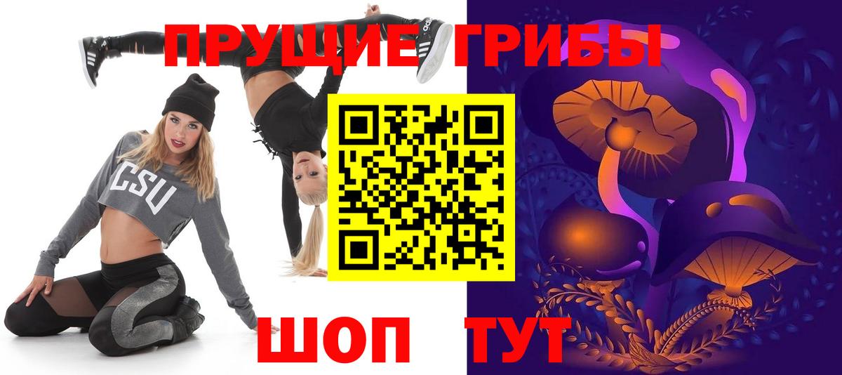 Галлюциногенные грибы Cubensis  Губкин 