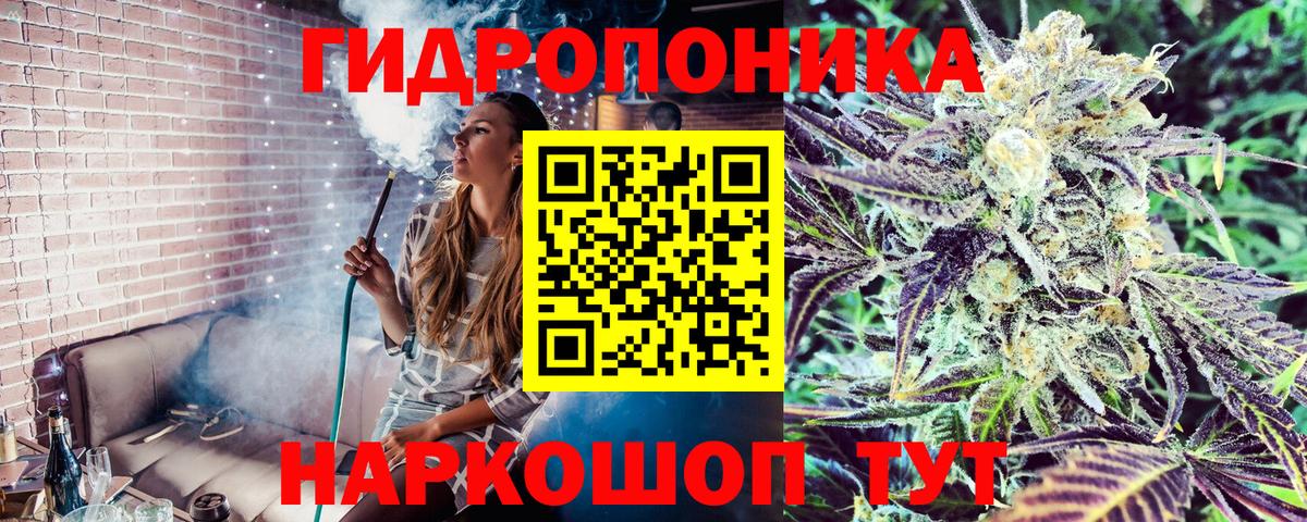 Каннабис план Губкин